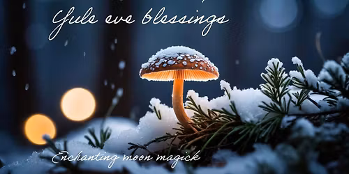 Winter solstice evening under the stars 