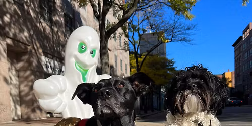 Elm St. Halloween Dog Parade | Manchester, NH | Free Community Walking Club