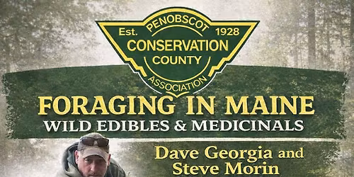 Foraging for Wild Edibles