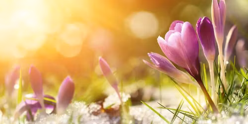2026 Spring Equinox Guided Meditation and Reiki Drum Healing - March 21st - LL30 2QA