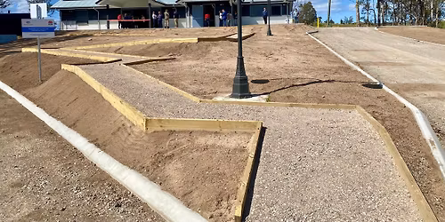 Christmas Tree Party