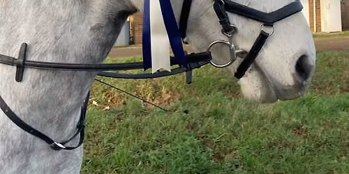 TEC Dressage League 25\/26