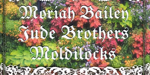 Jude Brothers \/\/ Moriah Bailey in Acoustic Contact \/\/ Moldilocks