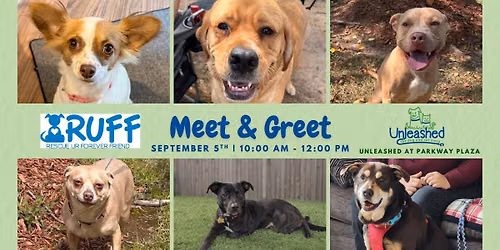 Meet and Greet with RUFF
