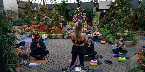 Muttart x Sound Vibes || Flow and Bloom - Radiance Within