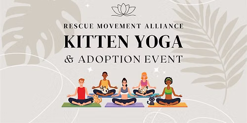 Kitten Yoga Adoption Event