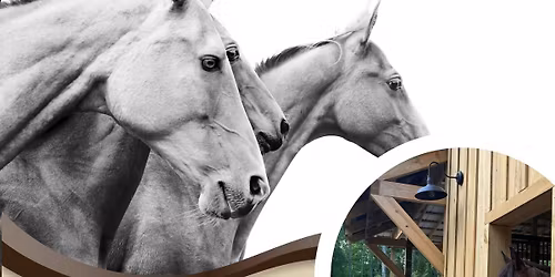 Eloheh Equine: Open Barn