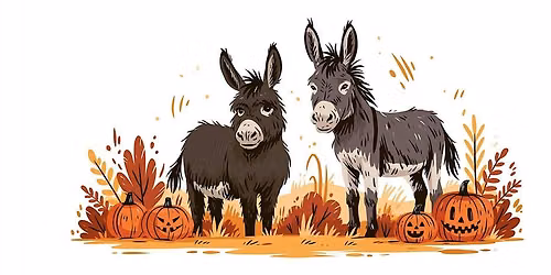 Fall Fundraiser: Pick a Pumpkin, Pet a Donkey!