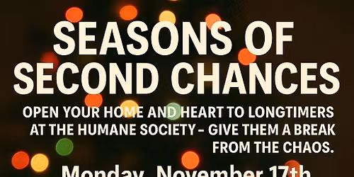 Seasons of Second Chances