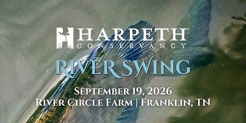 River Swing