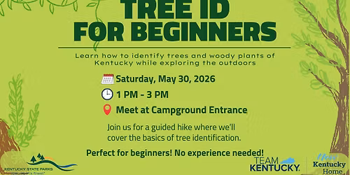 Tree ID For Beginners