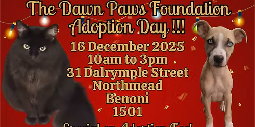 \ud83d\udc08\u200d\u2b1b\u203c\ufe0fThe Dawn Paws Foundation Adoption Day\u203c\ufe0f\ud83d\udc15
