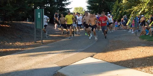 Sunset Through the Trees 