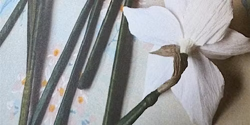 Introduction to Crepe Paper Flowers: A 3 WEEK COURSE