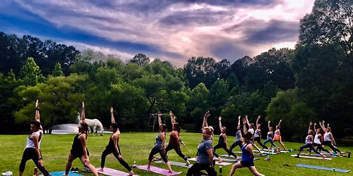 Sunset Yoga on the Farm