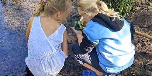 Salmon Watch - Nov 3 @ North Mountain Park