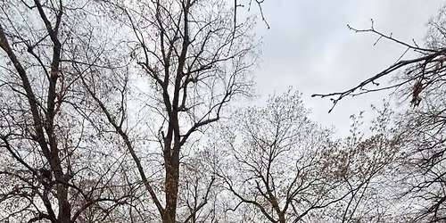 10. V\u00e1no\u010dn\u00ed Tul\u00e1koSva\u0159en\u00ed