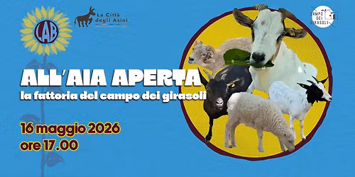 ALL\u2019AIA APERTA: la fattoria del campo dei girasoli