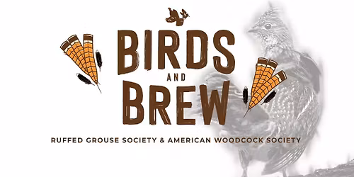 Summer Birds and Brew