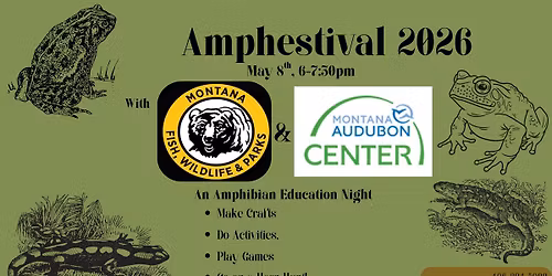 Amphestival 2026