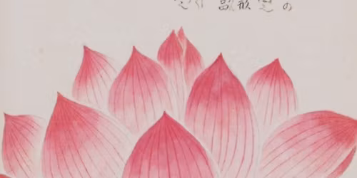 Beginner\u2019s Mind yoga