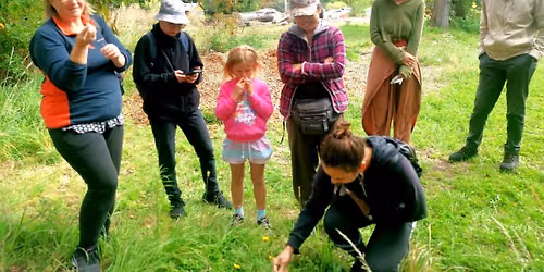 Grafting, Wholesome workshop\ud83c\udf3f + tree id & gathering grafting wood