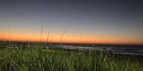 Live Music at Figure Eight Island: Music on the Marsh Series