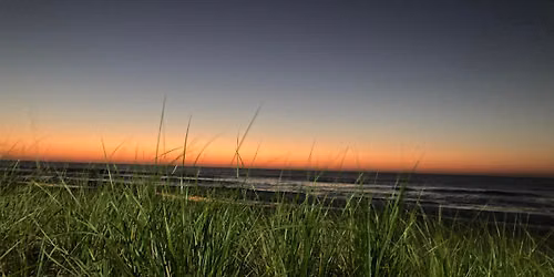 Live Music at Figure Eight Island: Music on the Marsh Series