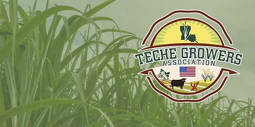 Teche Growers Annual Golf Tournament