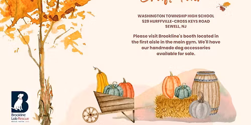 BLRR at The Birches Craft Show