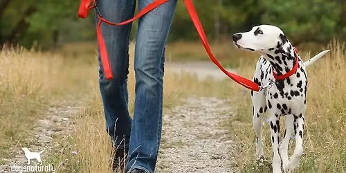 Winter Intensive leash Training