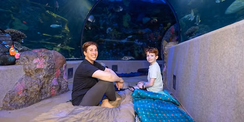 Zzz's Under the Sea Family