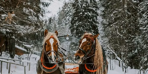 KULIG Z ZABAW\u0104 TANECZN\u0104