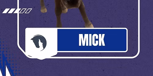 HALTER Night at the Spartanburgers