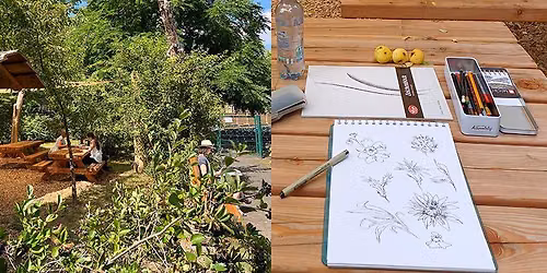 WORKSHOP -ZEICHNEN IM BOTANISCHEN GARTEN