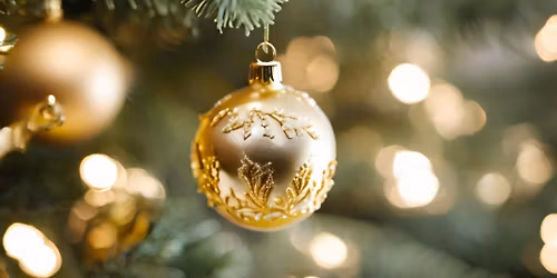 Pfister Tree Lighting Ceremony\ud83c\udf84