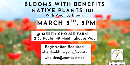 Blooms with Benefits - Native Plants 101