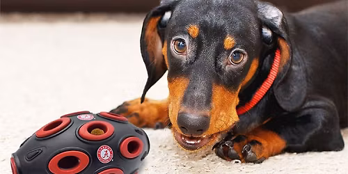 Southern Miss Golden Eagles vs. UC Santa Barbara Gauchos