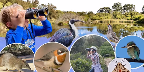 Wonderful Bayswater Wetlands \u2013 Family Bird Walk and Nature Discovery morning