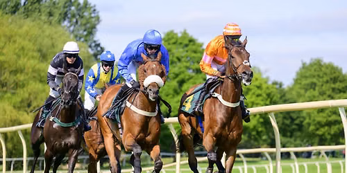 Race Night