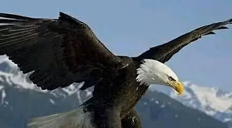 khayelitsha Ruby stadium