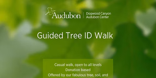 Guided Tree ID Walk