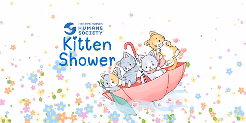 Kitten Shower 2026