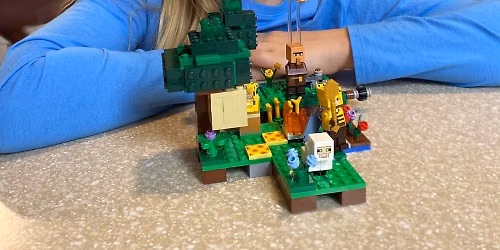 LEGO Club