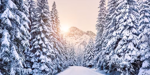 Echoes of December - Vivaldi Chamber Choir