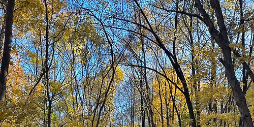 Galena River Fall Half Marathon & 8K