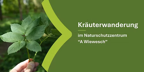 Kr\u00e4uterwanderung