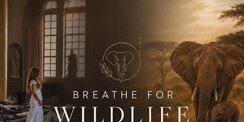 Breathe for Wildlife \ud83d\udc18\ud83c\udf3f