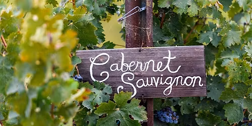 An Evening with Cabernet