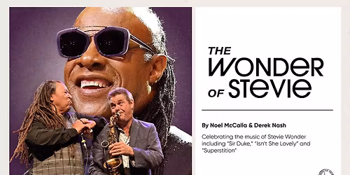 The Wonder of Stevie